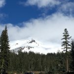 Fall has dissipated and winter is close at hand